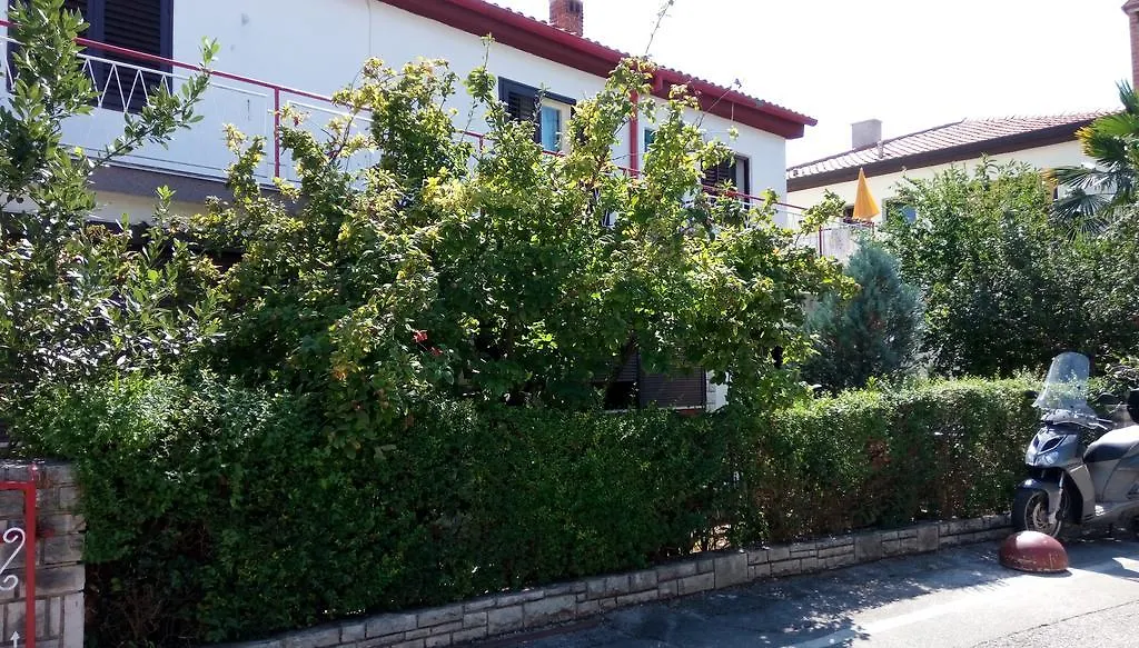 Guest House Nina Novigrad  2*, Novigrad (Istria)